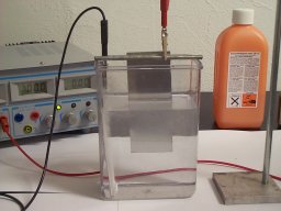 chd_20090504_1599172125