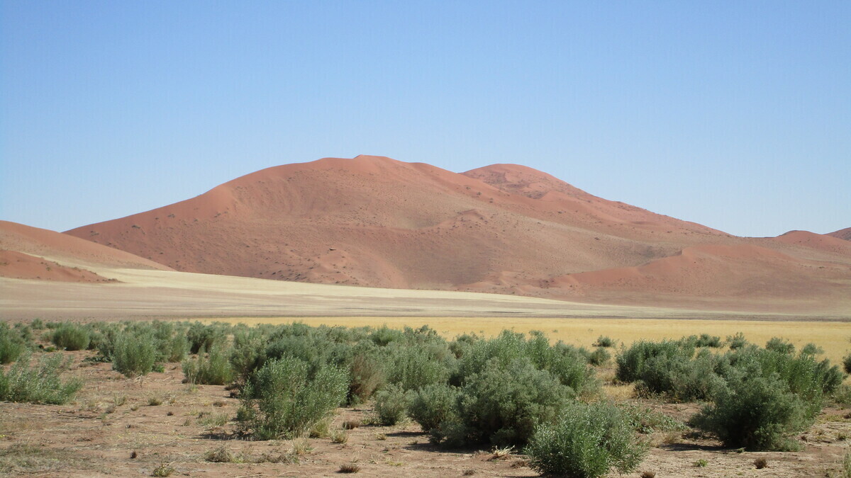 Namibia: Namib – Sossusvlei – the highest dunes in the world