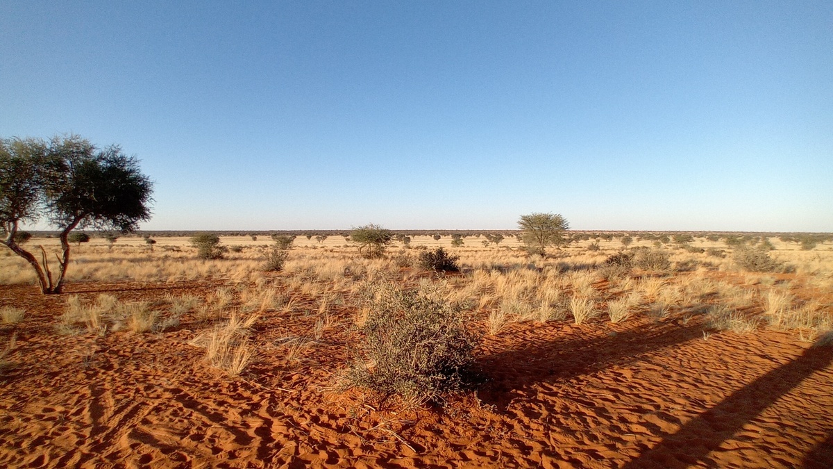 Namibia: Kalahari im „Kuzikus“
