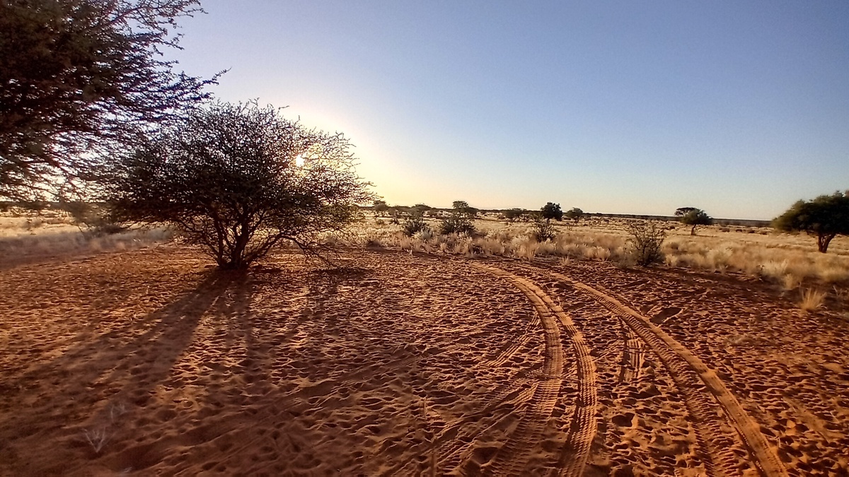 Namibia: Kalahari in 'Kuzikus'