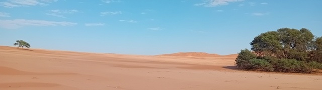 Namibia: Namib - Gobabeb (Wüsten-Forschungsstation)