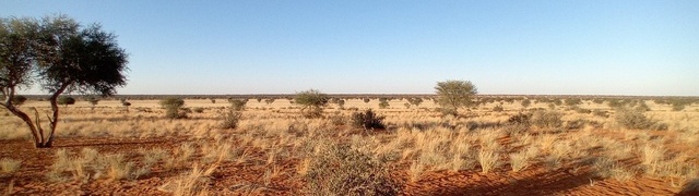 Namibia: Kalahari im „Kuzikus“