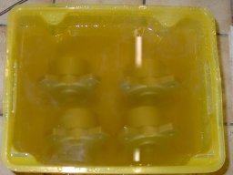 quad_20100214_1596083947